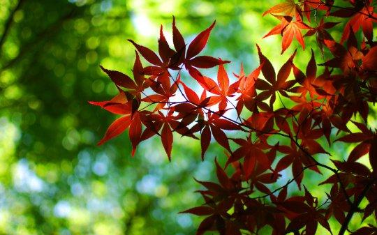 Do You Need to Clean the Air in Autumn?