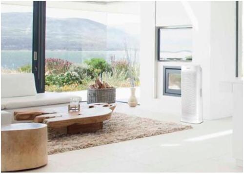 Get Rid of The Smell, Make Your Home Air Cleaner