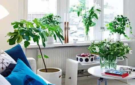 The Importance of Indoor Air Quality to Human Health